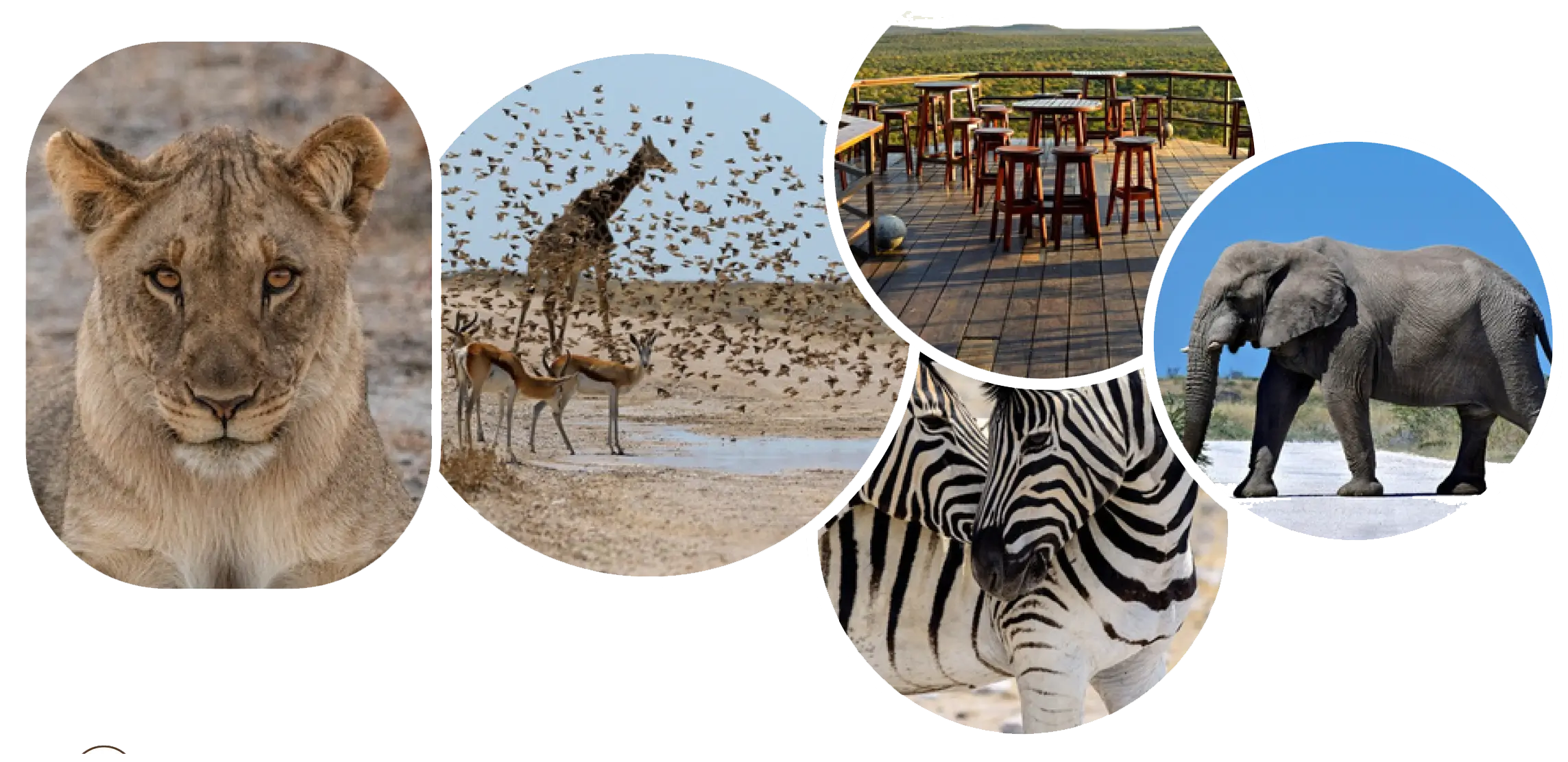 Top Activities in the Oshikoto Region