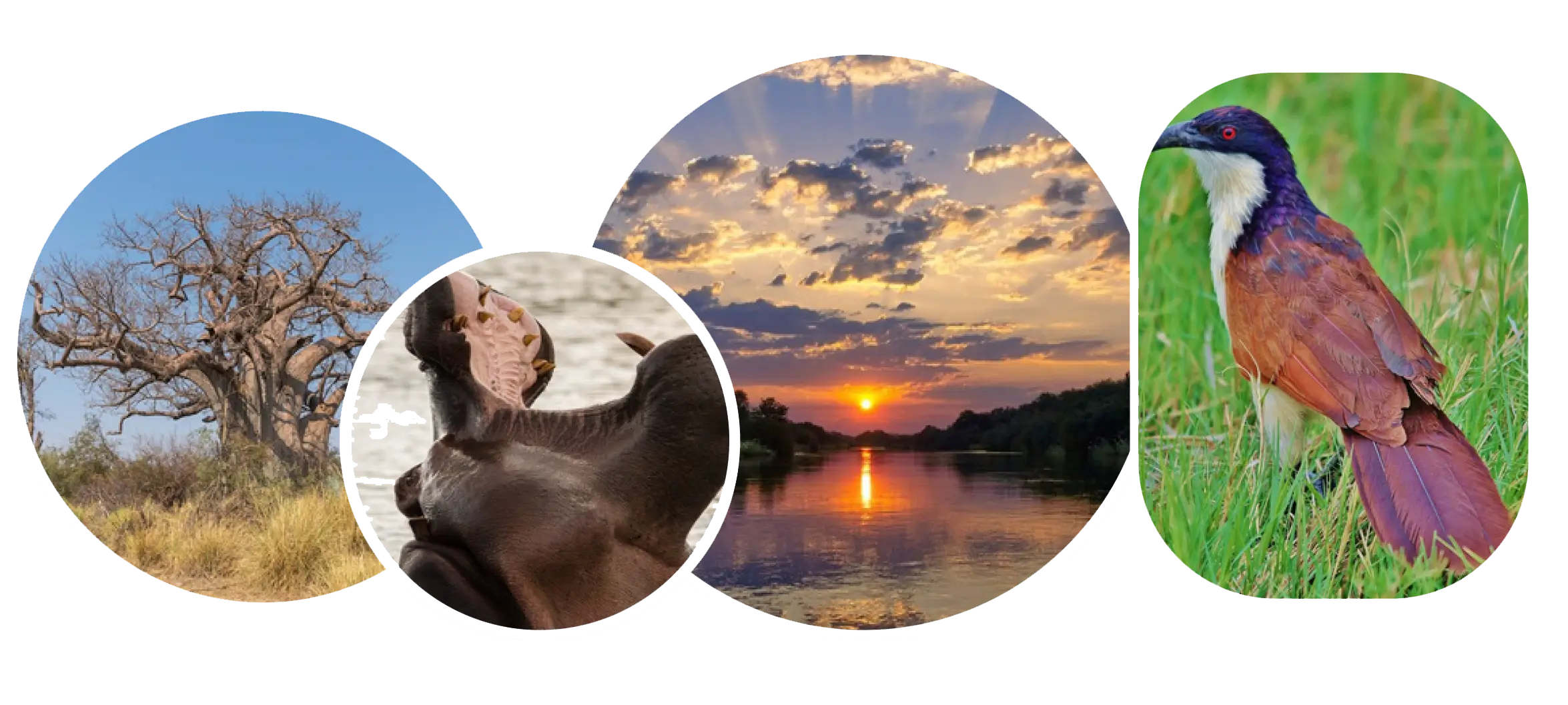 Top Activities in the Zambezi Region