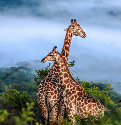 kaps tours and safaris Namibia