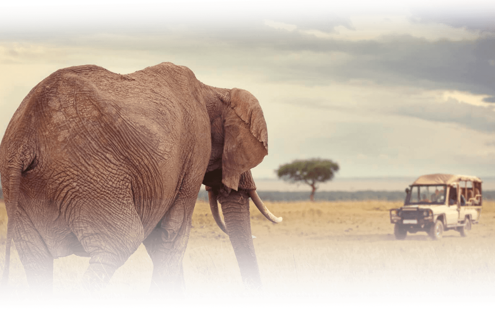 Kaps Safari And Tours Namibia