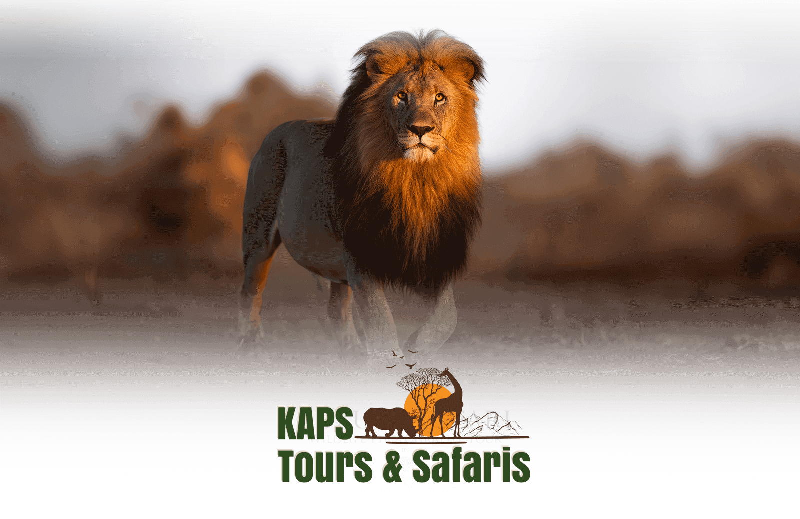 kaps tours and safaris best Namibian company