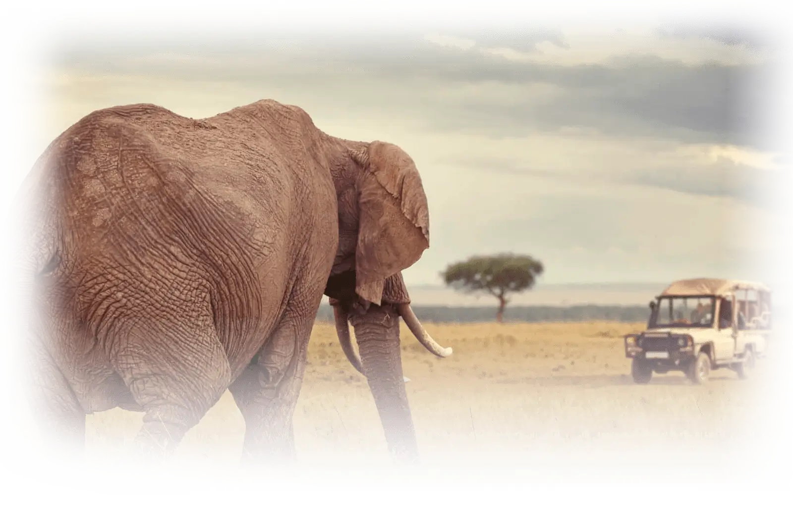 kaps tours and safaris best safari tours