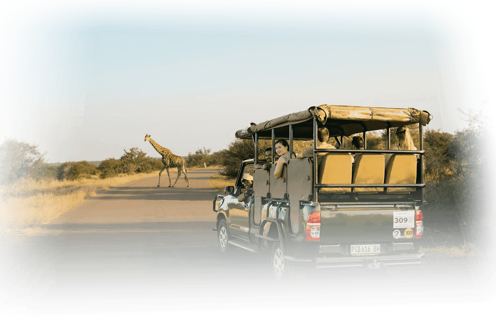 kaps tours and safaris best vehicle rentals